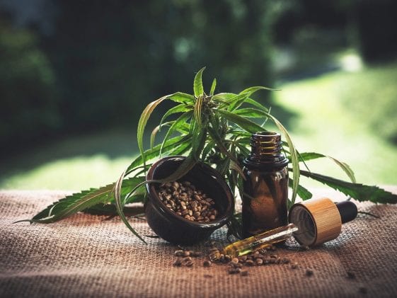 Olejek CBD.