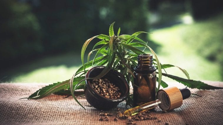 Olejek CBD.