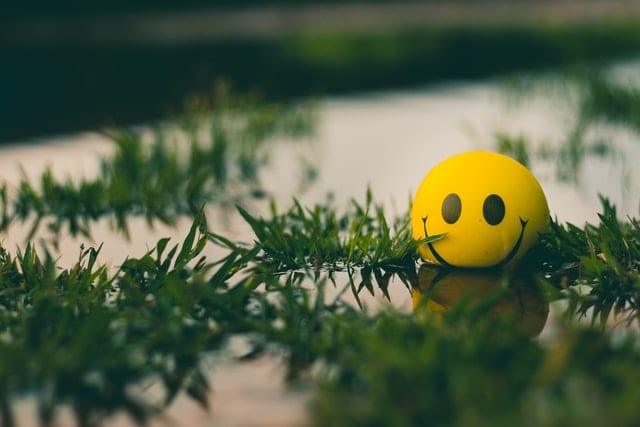 Żółta uśmiechnięta emotka w wodzie obok roślin. 