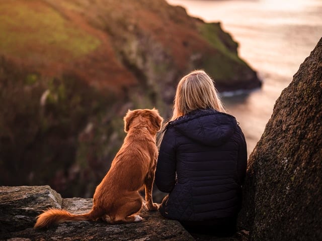 Kobieta siedząca na skale obok psa.