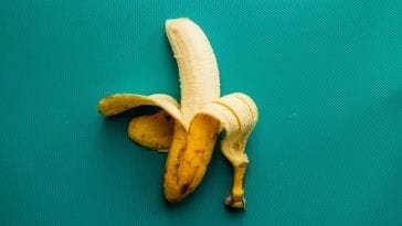 Obrany banan ze skórką, z której można zrobić nawóz z bananów