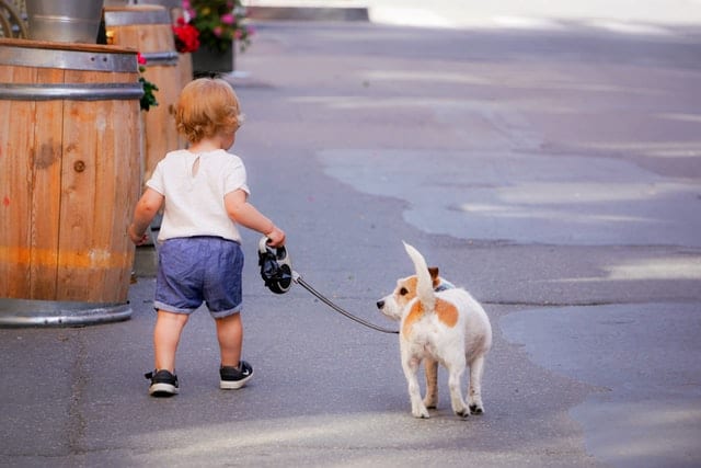 Dziecko wyprowadzające psa w cieniu. 