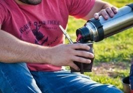 Terere: yerba mate na lato