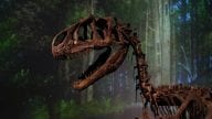 Szkielet dinozaura na zielonym tle.