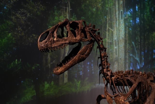 Szkielet dinozaura na zielonym tle.