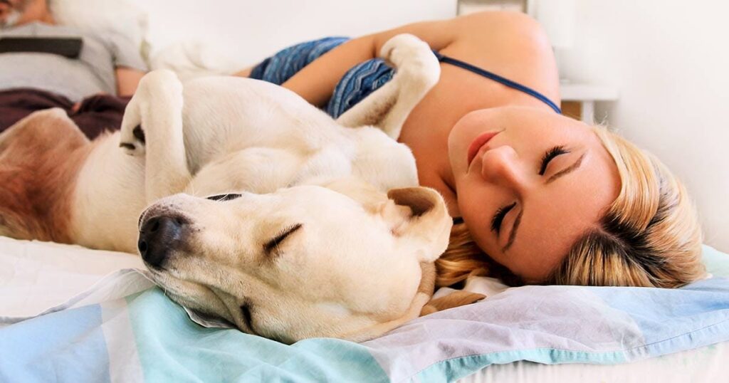 Pies w łóżku? Czy powinno się spać z psem?