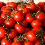 Jeśli jesz pomidory to musisz o tym wiedzieć. Pozytywny wpływ pomidorów na ogranizm