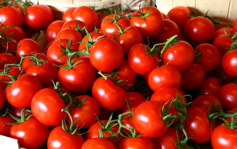 Jeśli jesz pomidory to musisz o tym wiedzieć!