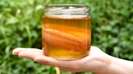 Jak zrobić herbatę z kombucha? Najzdrowsza herbata na świecie