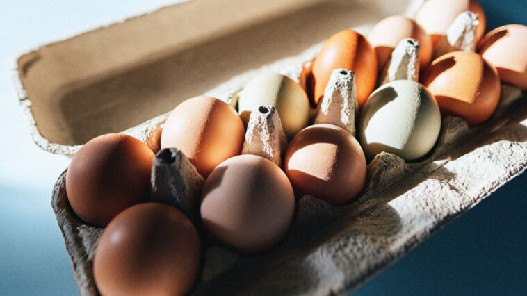 Jedź dwa jajka dziennie. Sprawdź, dlaczego warto je jeść!