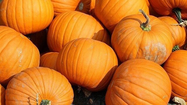 Chcesz wzmocnić swoją odporność? Zacznij to jeść! Dynia
