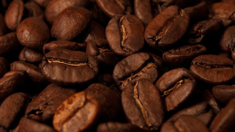 Jakie są zalety świeżo palonej kawy?