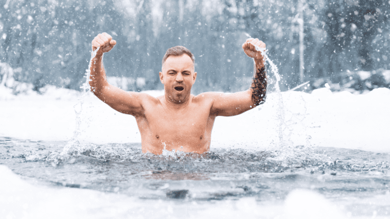 Dlaczego morsy nie moczą rąk