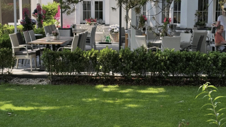 Restauracja Michel Moran