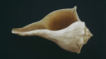 Krostki na ramionach lub udach? To może być rogowacenie mieszkowe