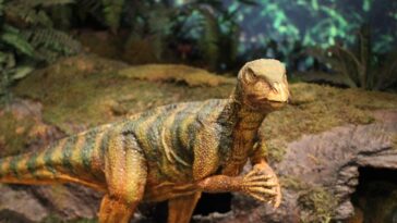Niesowite odkrycie! Naukowcy odnaleźli skamieniałość embrionu dinozaura