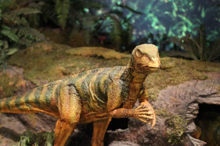 Niesowite odkrycie! Naukowcy odnaleźli skamieniałość embrionu dinozaura