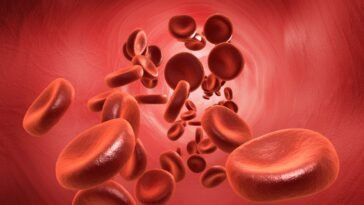 Anemia – coraz częstszy problem zdrowotny. Jak ją rozpoznać i leczyć?