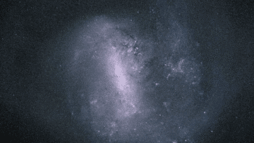 telescop webba