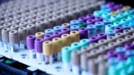 Probówki z pobraną krwią w statywie laboratoryjnym, test wykrywający wiele nowotworów z jednej próbki
