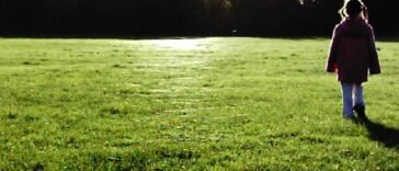 Srebrzyste nici pajęcze babiego lata rozpięte nad trawą w jesienny poranek