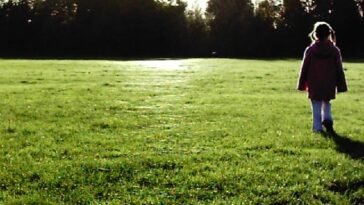Srebrzyste nici pajęcze babiego lata rozpięte nad trawą w jesienny poranek
