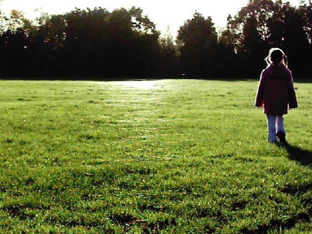 Srebrzyste nici pajęcze babiego lata rozpięte nad trawą w jesienny poranek