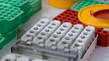 Próbki krwi w probówkach w laboratorium podczas oznaczania grupy krwi