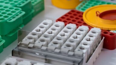 Próbki krwi w probówkach w laboratorium podczas oznaczania grupy krwi
