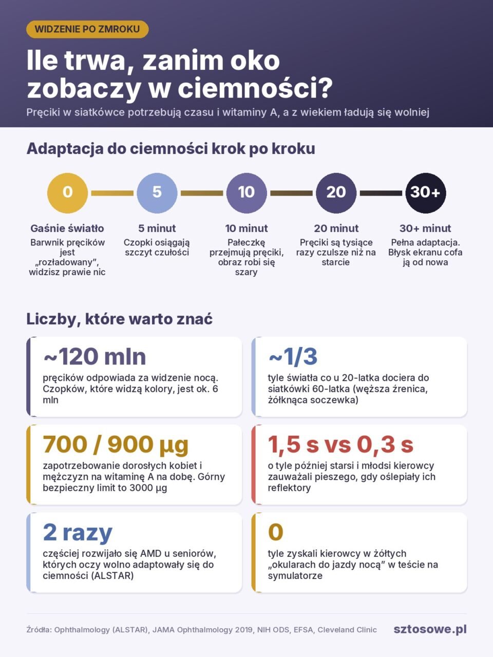 Infografika: jak długo oko przyzwyczaja się do ciemności, liczba pręcików i czopków, zapotrzebowanie na witaminę A, wpływ wieku i oślepiających reflektorów na widzenie po zmroku