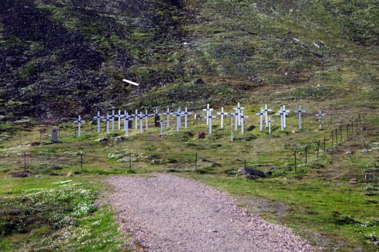 W Longyearbyen od 1950 roku nie chowa się zmarłych. Zmarzlina nie pozwalała ciałom się rozłożyć Białe krzyże na cmentarzu w Longyearbyen na Svalbardzie, gdzie pochowano ofiary grypy z 1918 roku