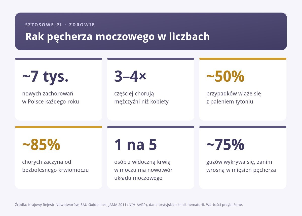 Infografika: rak pęcherza moczowego w liczbach, około 7 tysięcy zachorowań rocznie w Polsce, połowa przypadków związana z paleniem, 85% chorych zaczyna od bezbolesnego krwiomoczu