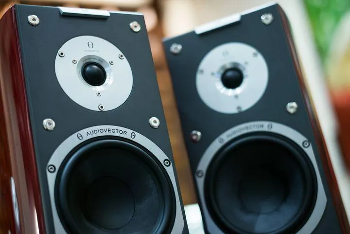 Protect Your Speakers