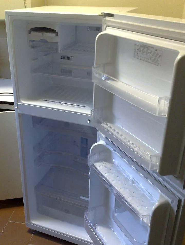 Remove Mildew from Fridge Gasket